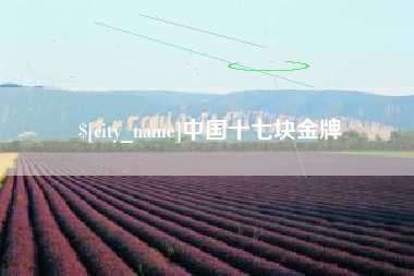 无棣中国十七块金牌