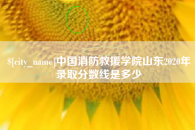无棣中国消防救援学院山东2020年录取分数线是多少