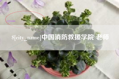 无棣中国消防救援学院 老师