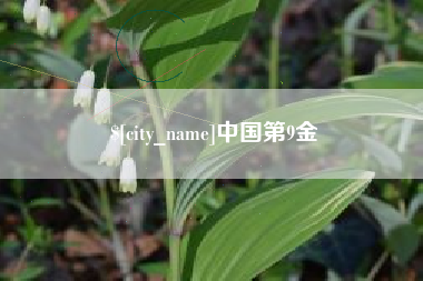 无棣中国第9金