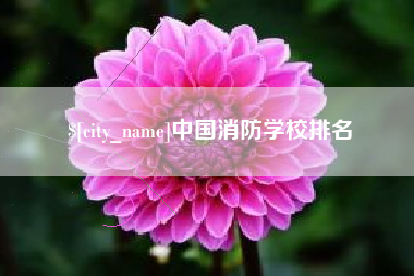 无棣中国消防学校排名