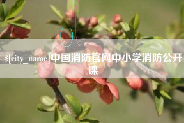 无棣中国消防官网中小学消防公开课