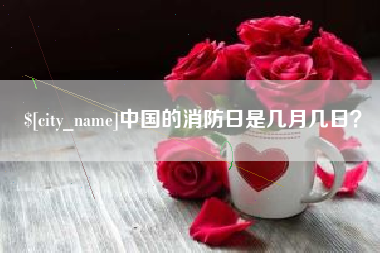 无棣中国的消防日是几月几日？