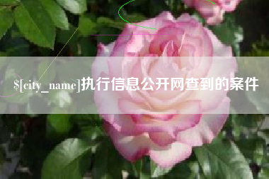 无棣执行信息公开网查到的案件