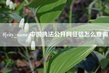 无棣中国执法公开网征信怎么查询