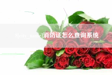 无棣消防证怎么查询系统