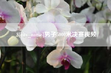 无棣男子5000米决赛视频
