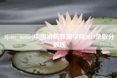 无棣中国消防救援学院2019录取分数线