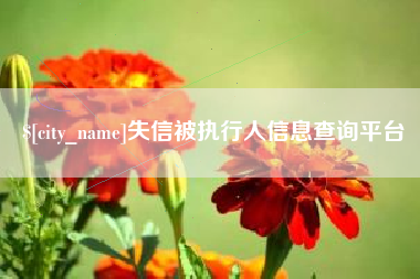 无棣失信被执行人信息查询平台