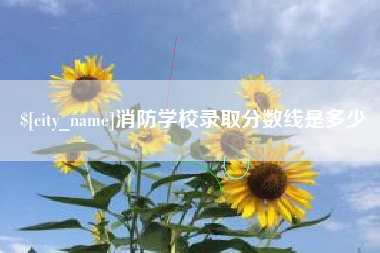 无棣消防学校录取分数线是多少