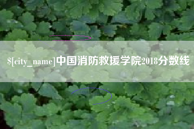 无棣中国消防救援学院2018分数线