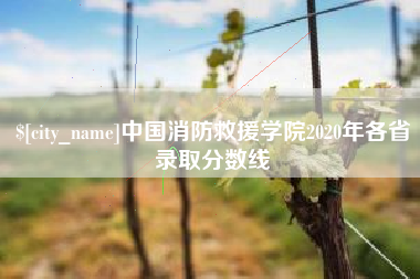 无棣中国消防救援学院2020年各省录取分数线