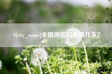 无棣全国消防日是第几天？