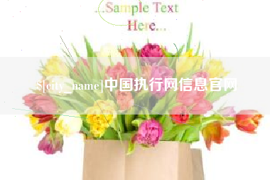 无棣中国执行网信息官网