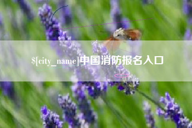 无棣中国消防报名入口