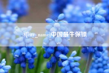 无棣中国最牛保镖