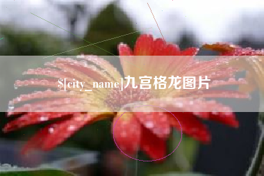 无棣九宫格龙图片