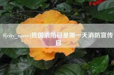 无棣我国消防日是哪一天消防宣传日