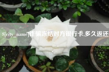无棣诈骗冻结对方银行卡,多久返还