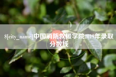 无棣中国消防救援学院2019年录取分数线