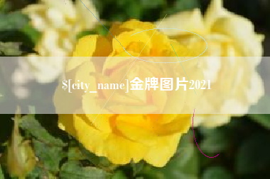 无棣金牌图片2021