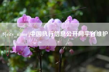 无棣中国执行信息公开网平台维护