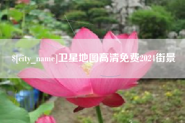 无棣卫星地图高清免费2024街景
