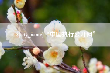 无棣“中国执行公开网”