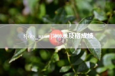 无棣5000米及格成绩