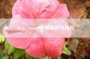 无棣全国消防日海报