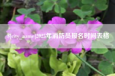 无棣2025年消防员报名时间表格