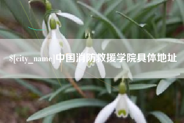 无棣中国消防救援学院具体地址