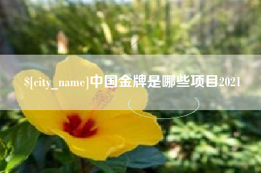无棣中国金牌是哪些项目2021