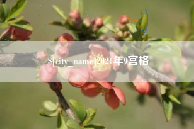 无棣2021年9宫格