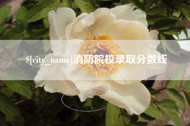 无棣消防院校录取分数线