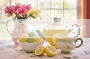 无棣中国消防救援学院分数2020