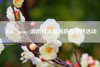 无棣消防日全国消防日主题活动