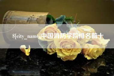 无棣中国消防学院排名前十