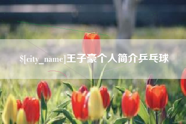 无棣王子豪个人简介乒乓球
