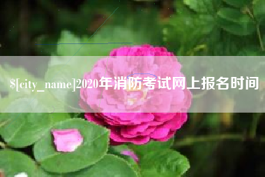 无棣2020年消防考试网上报名时间