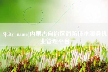 无棣内蒙古自治区消防技术服务执业管理平台