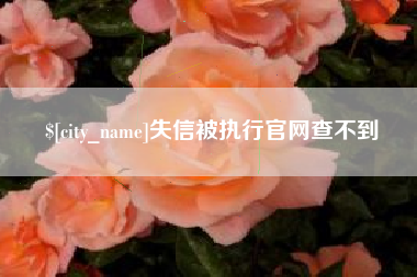 无棣失信被执行官网查不到