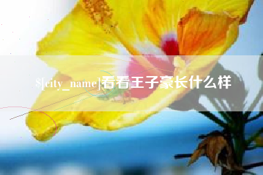 无棣看看王子豪长什么样