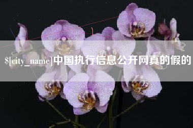 无棣中国执行信息公开网真的假的