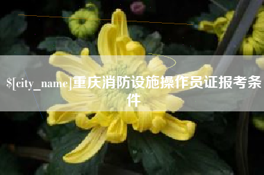 无棣重庆消防设施操作员证报考条件