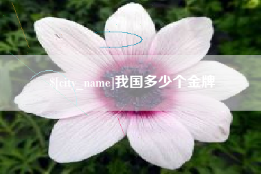 无棣我国多少个金牌