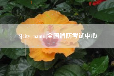 无棣全国消防考试中心