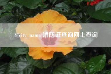 无棣消防证查询网上查询