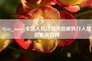 无棣全国人民法院失信被执行人信息查询官网
