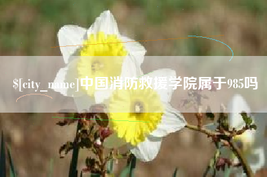 无棣中国消防救援学院属于985吗